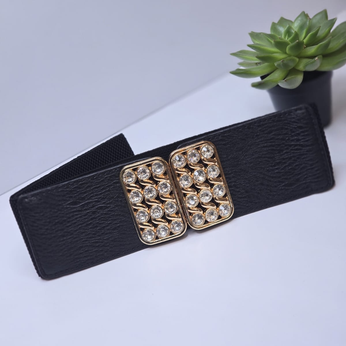 Wide Belt 21