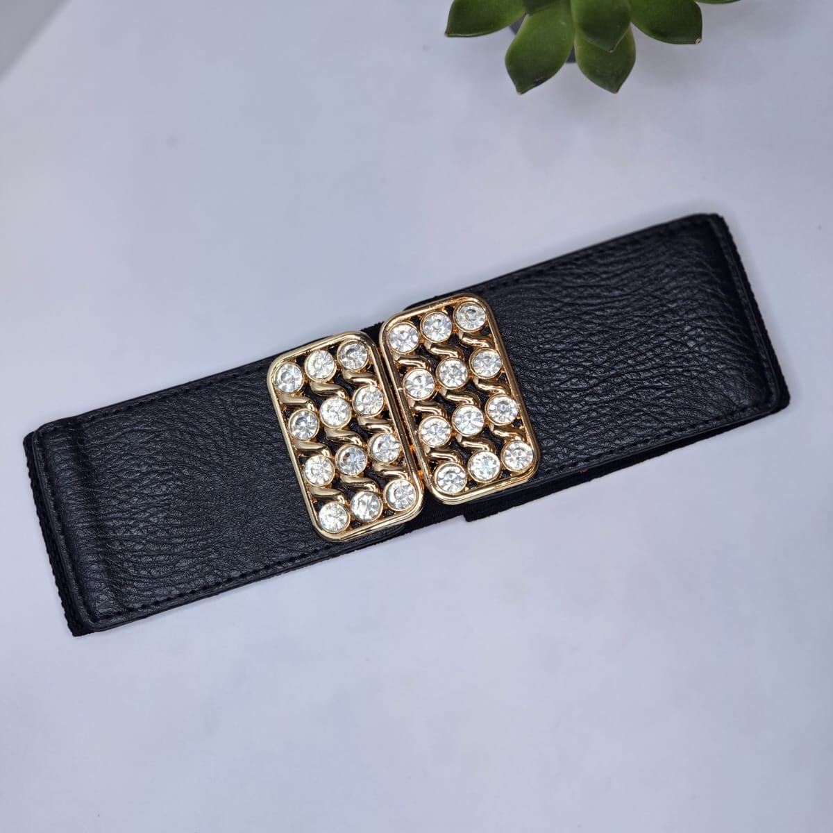 Wide belt 19