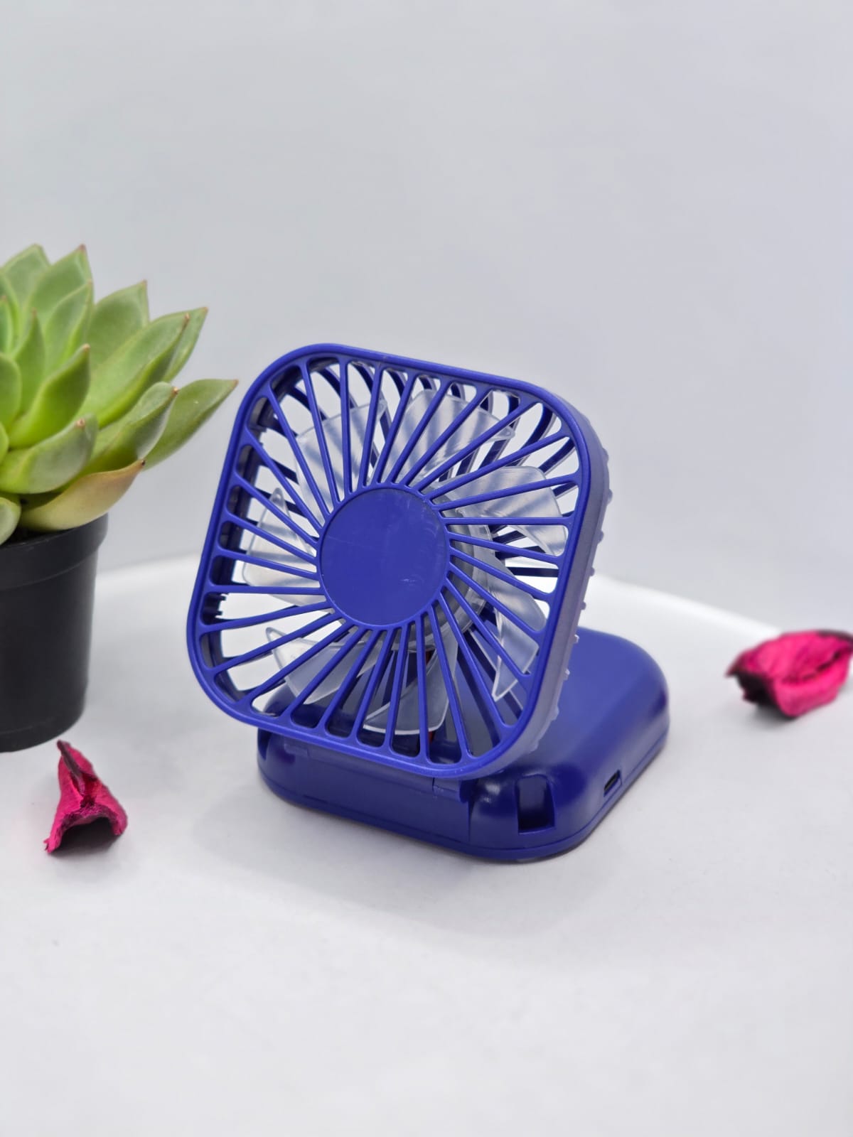 fan