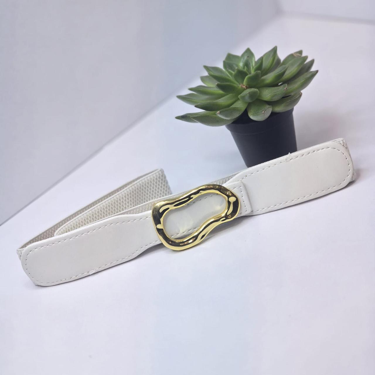 Waist belt