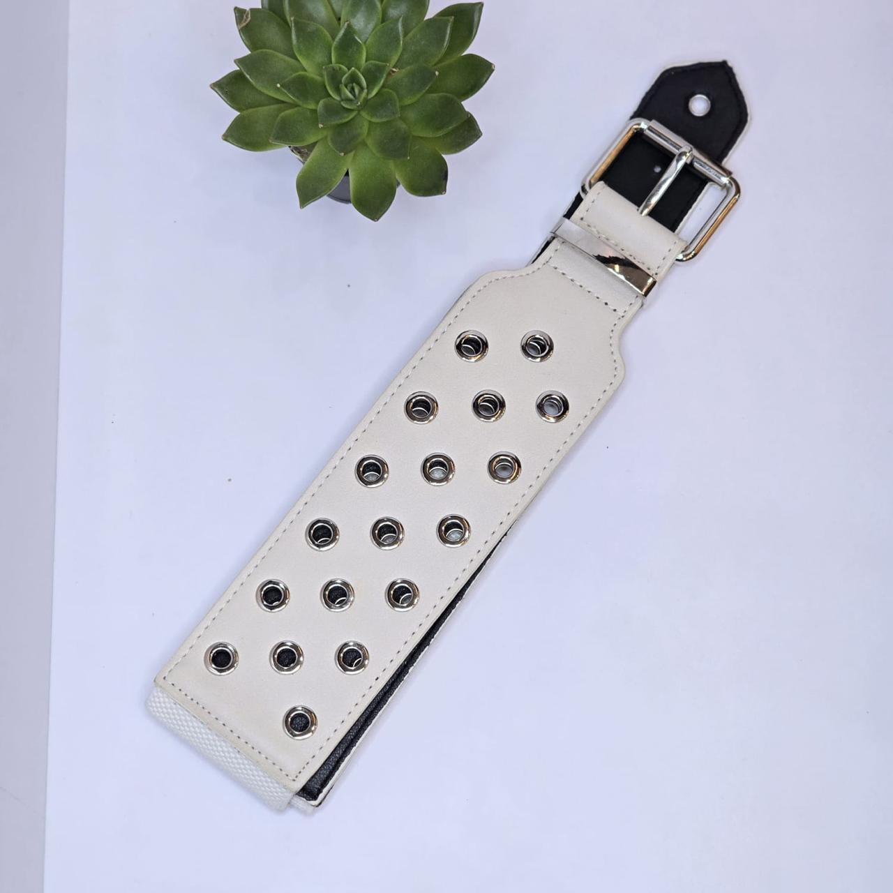 Waist belt