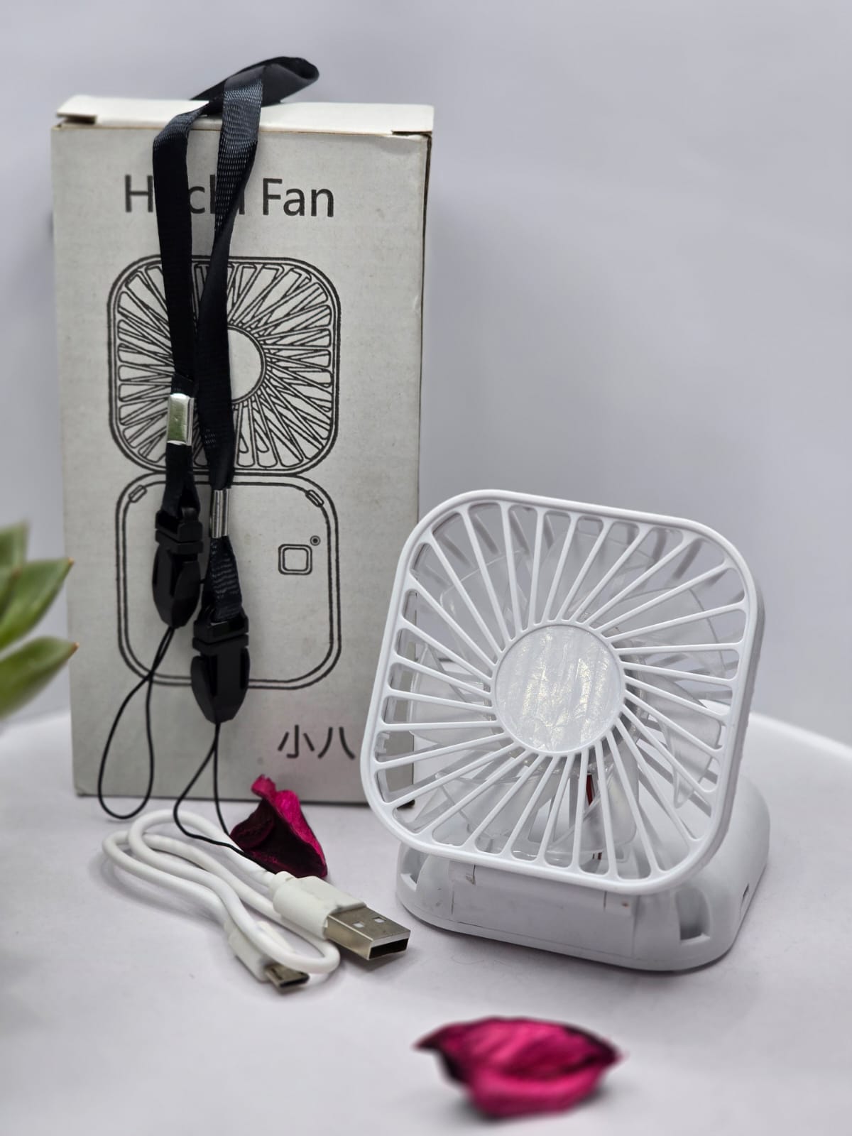 Fan