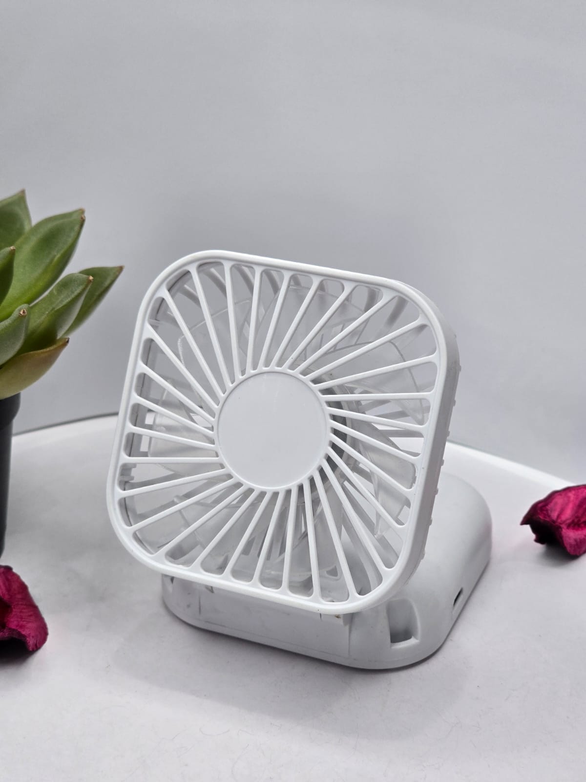 Fan