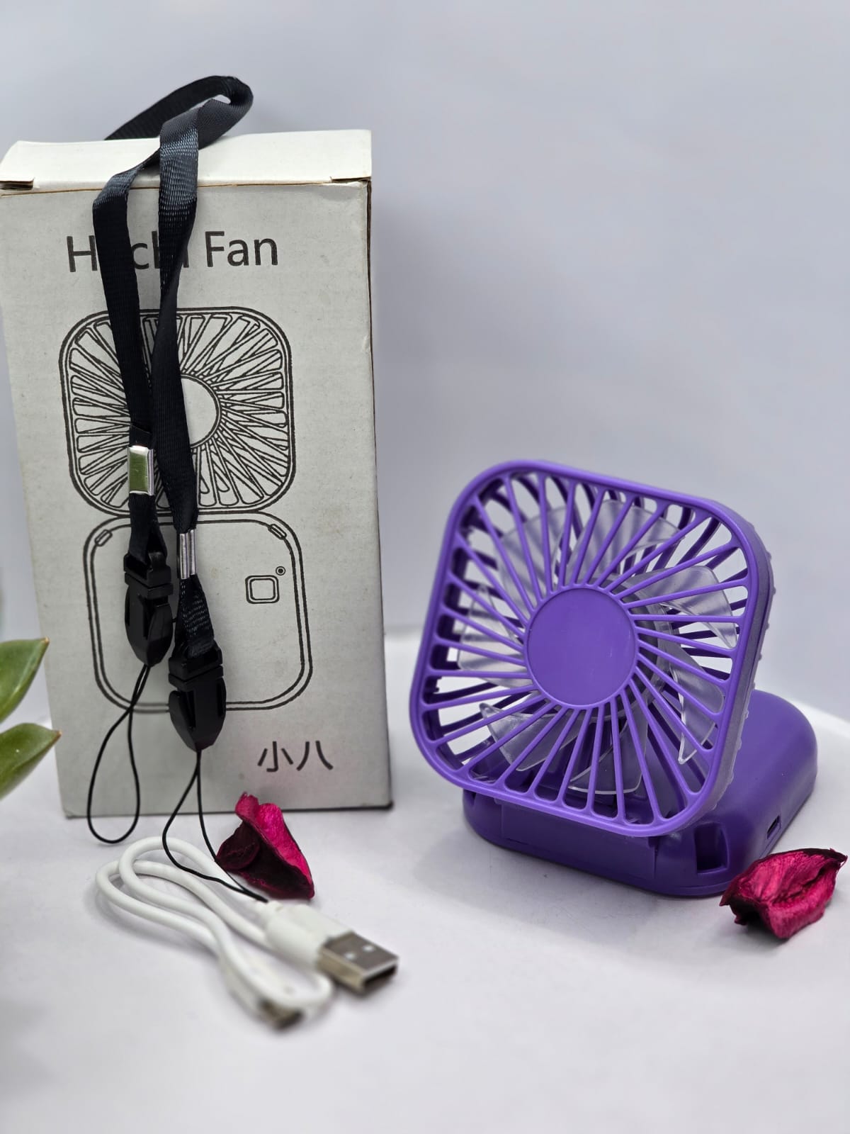 Fan