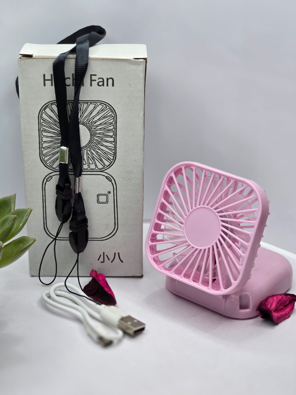 Fan