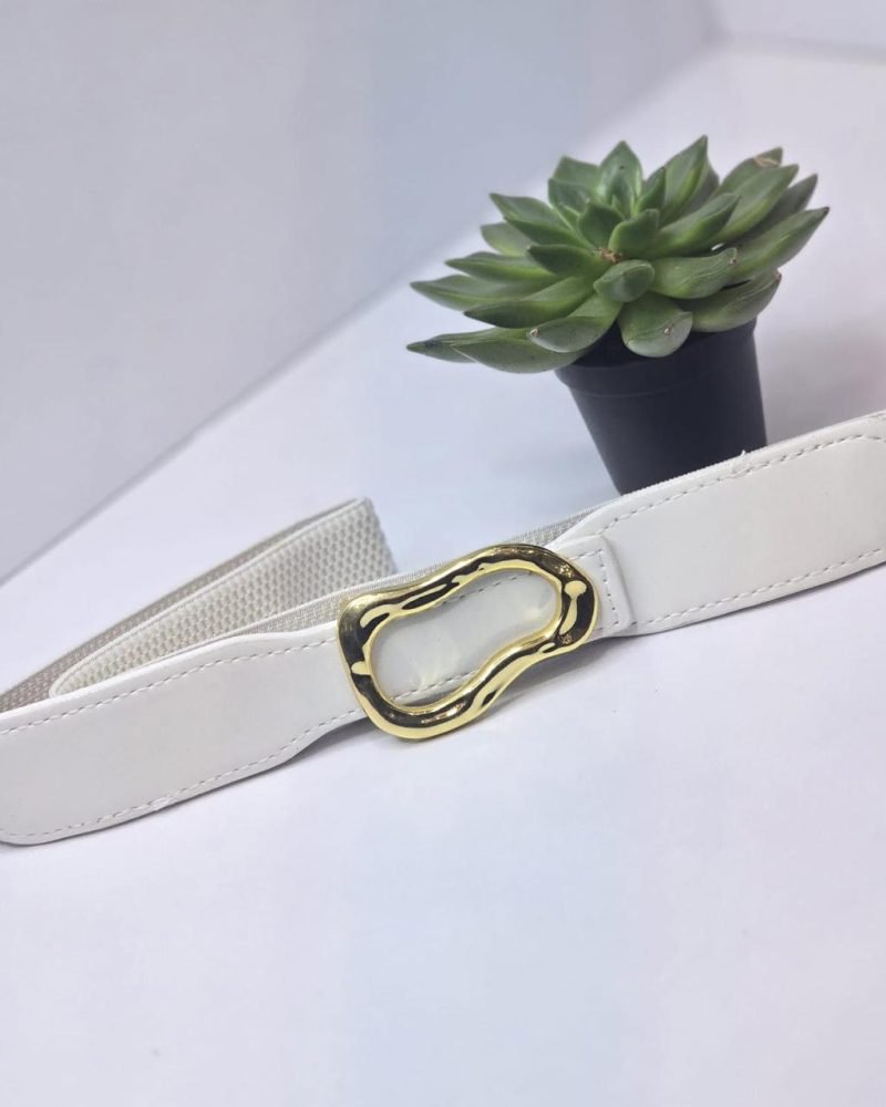 Waist belt