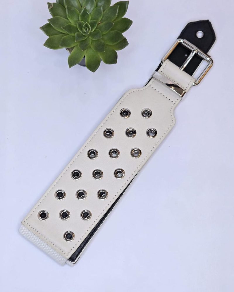 Waist belt