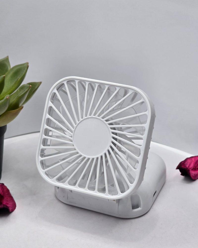 Fan