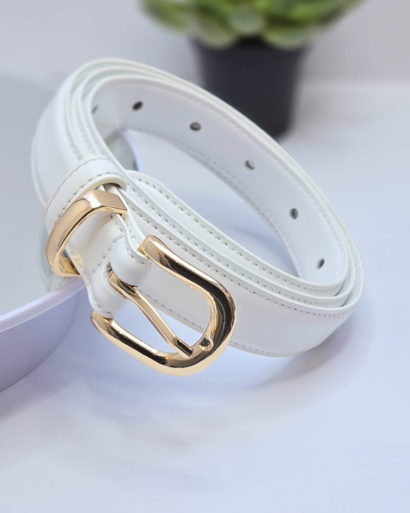 Fashion waist belt