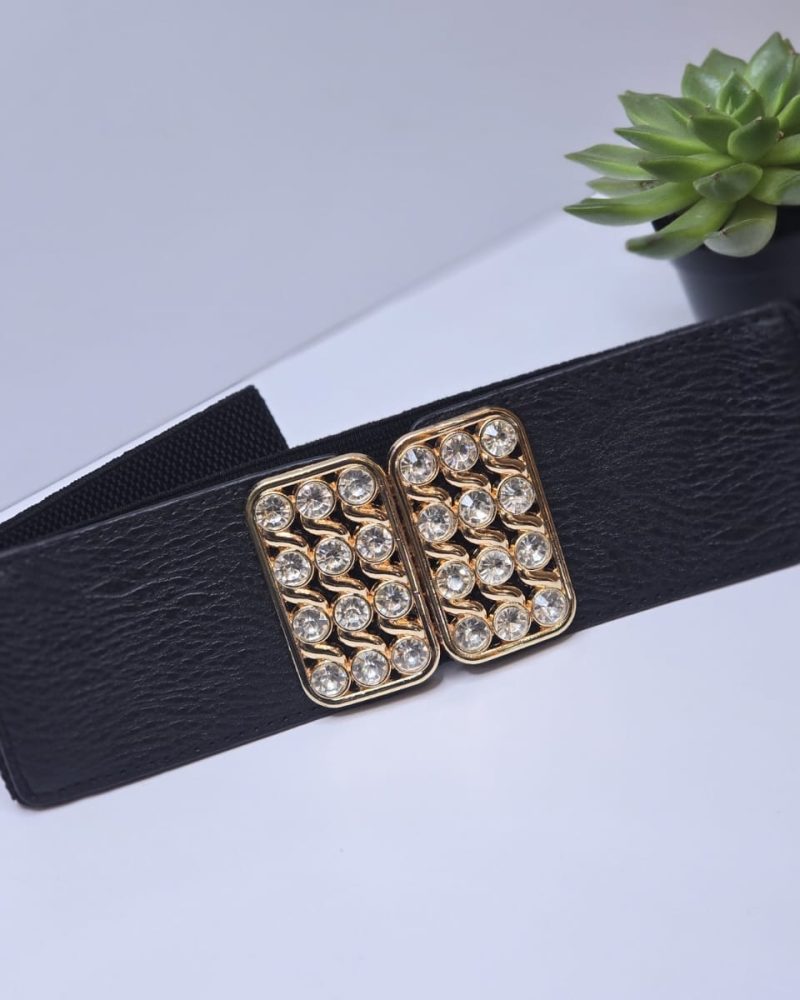Wide Belt 21